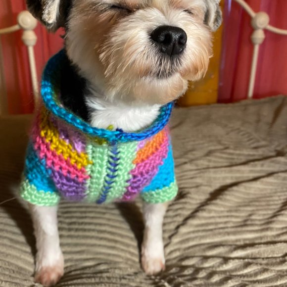 Small Dog Sweater, Toy Dog Clothes, Unique, Hand Knit One of a Kind, Colorful - Picture 8 of 16